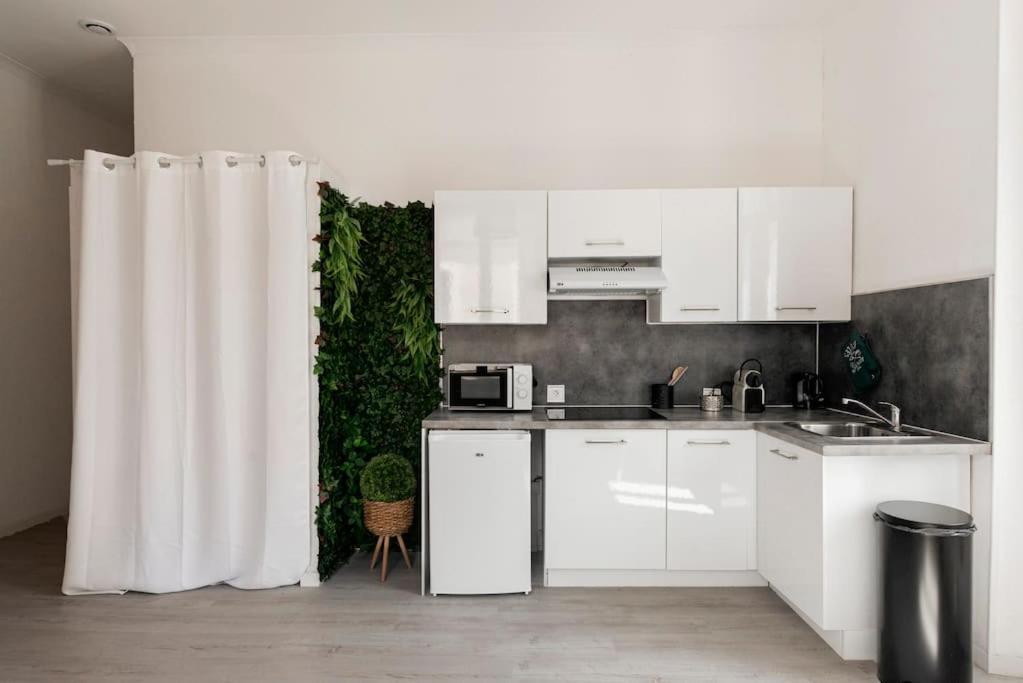 Charmant Studio Arbore Et Climatise Carcassonne Esterno foto